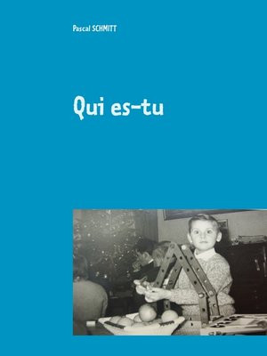 cover image of Qui es-tu